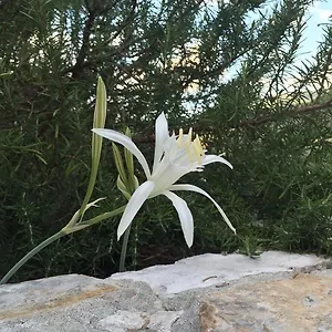 Ca' Di Bianca , Moneglia Italy